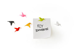 Hummingbird Magnets by Qualy