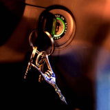 Key Ring Clip