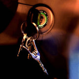 Duo Sparrow Key Ring Holder  Original Design by Qualy