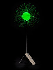 Lichtbloem Lamp